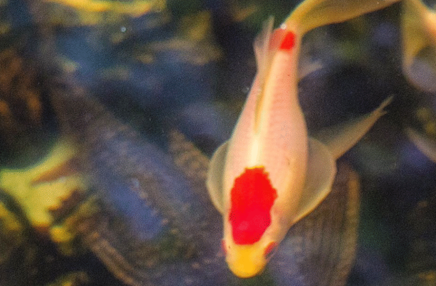 O horário do nascimento e seus segredos astrológicos