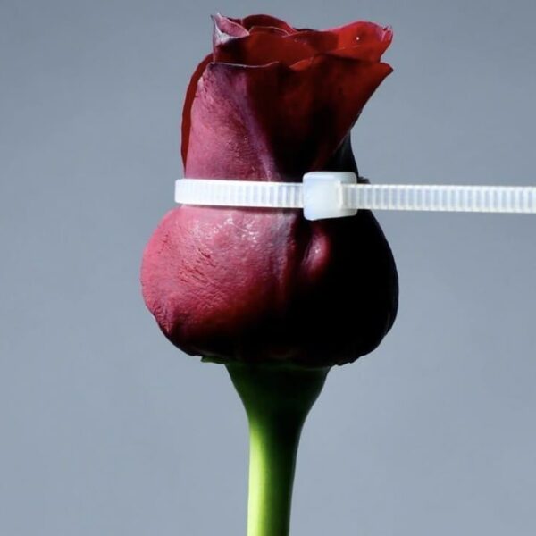 Eclipse Lunar de Março/2025: O Alerta Sobre Violência Contra a Mulher